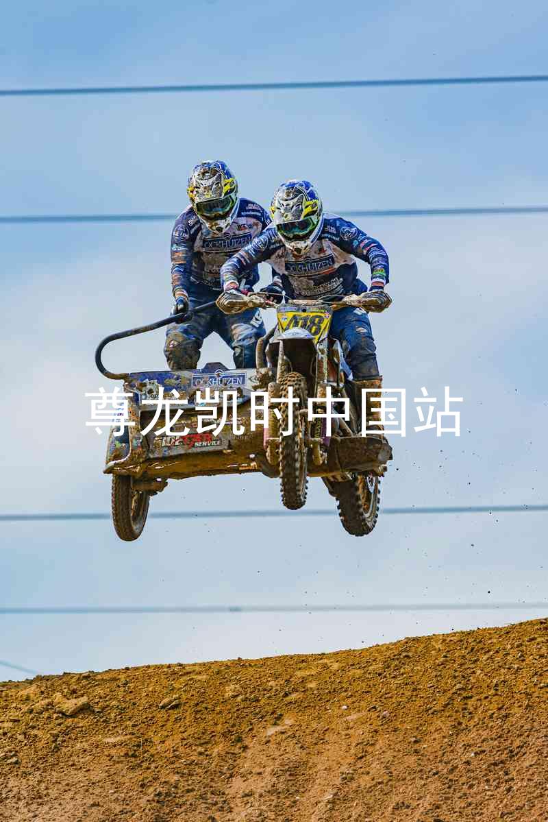 尊龙凯时中国站