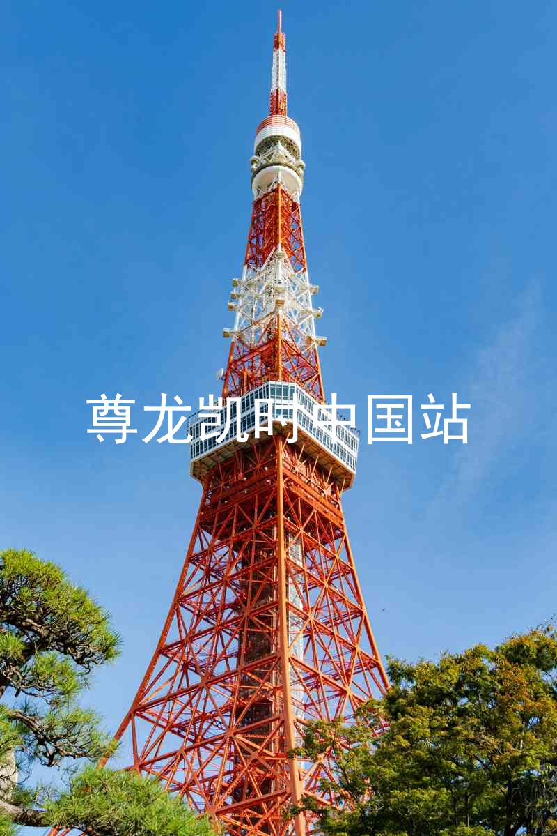 尊龙凯时中国站
